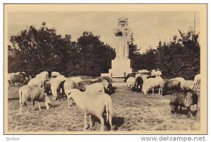 RP, Radegast na Radhostl, Beskydy, Sheep, 1910-1920s