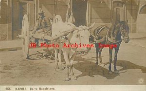 Italy, Napoli, RPPC, Carro Napoletano, Horse & Oxen Drawn Cart, NPG Photo No 256