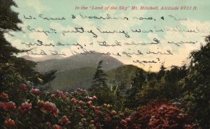 Vintage Postcard 1914 In The Land Of The Sky Mount Mitchell Flowers Mountain NC