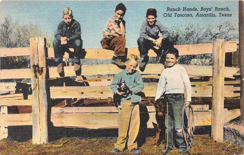 Amarillo Texas~Boys Ranch (Old Tascosa) Boys Posing w Calf & Piglet~1940 Pc