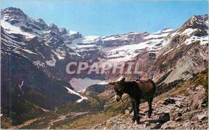 Modern Postcard Gavarnie (Htes Pyr) Fatigue but what a sight Donkey Donkey