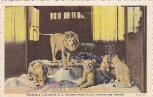 Roosevelt Lion Group National Museum Smithsonian Institution Curteich