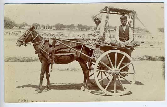 Agra Chakrata India Horse Wagon RPPC Postcard