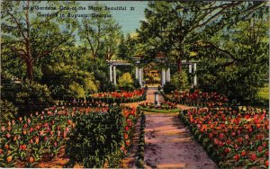 Postcard PARK SCENE Augusta Georgia GA AN9665