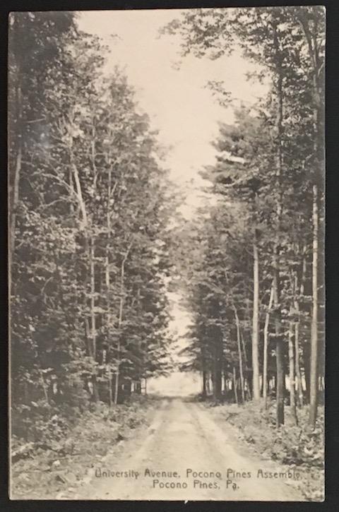 University Ave Pocono Pines Assembly Pocono Pines Pa 1908 Pocono Pines Studio