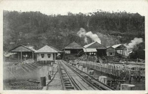 british north borneo, SABAH SANDAKAN, China Borneo Co., Sawmill, Station (1920s)