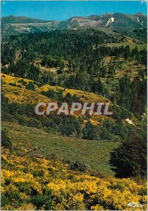Old Postcard Super Lioran in Spring Beautiful echappee to Lead the Cantal (al...