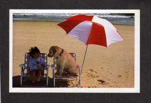 NY Dog Beach Chairs Umbrella Animal League Port Washington New York Postcard