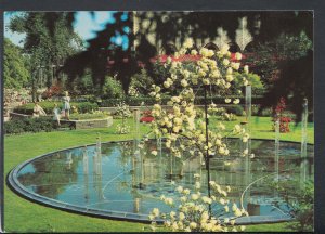 Denmark Postcard - Copenhagen, Tivoli - The Bubbling Fountain  T5092