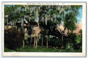 1910 Scenic View Rustic Seat Big Tree Daytona Florida FL Vintage Posted Postcard