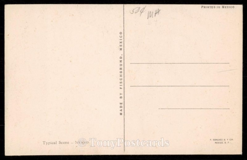 Typical Scene - Mexico