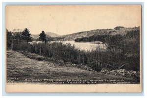 1906 Swanzey Pond Summer Home of Denman Thompson West Swanzey NH Postcard