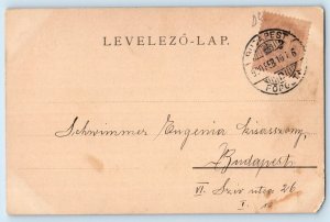 c1905 Birds And Flowers Sailboat Scene Lake Budapest Posted Antique Postcard