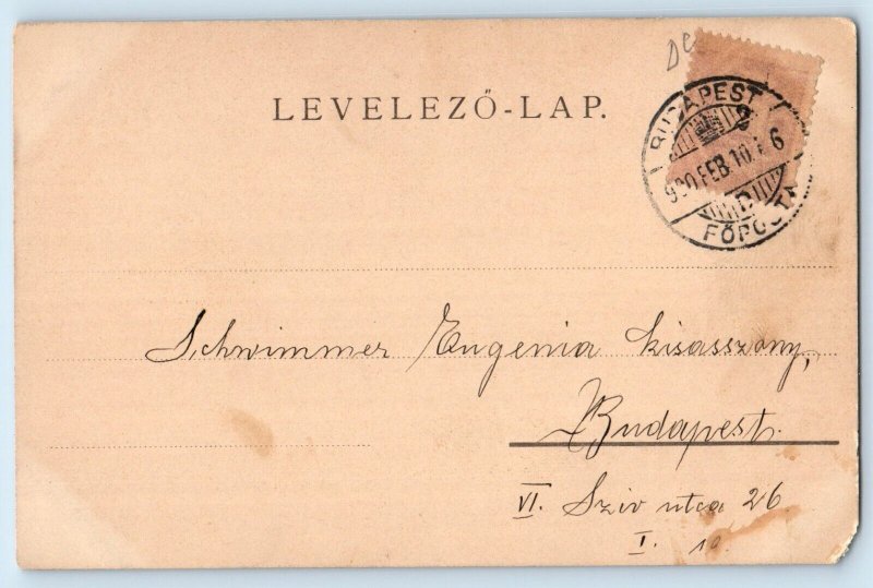 c1905 Birds And Flowers Sailboat Scene Lake Budapest Posted Antique Postcard