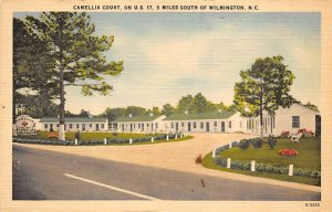 Camellia Court 5 miles south of Wilmington - Wilmington, North Carolina NC