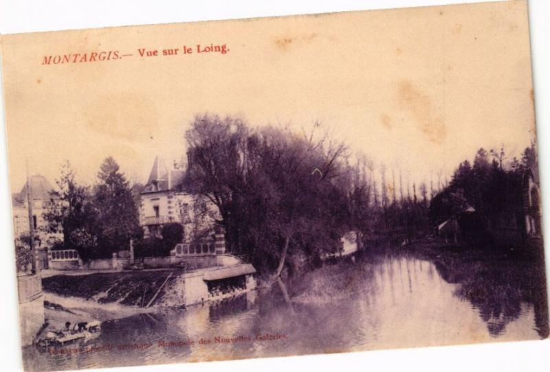 CPA MONTARGIS-Vue sur le LOING (265995)