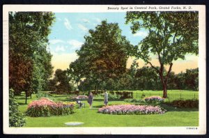 North Dakota GRAND FORKS Beauty Spot in Central Park pm1950 - Linen