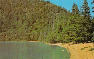 BC, Canada   CAMERON LAKE  Swimmers & Sunbathers On Beach    Postcard