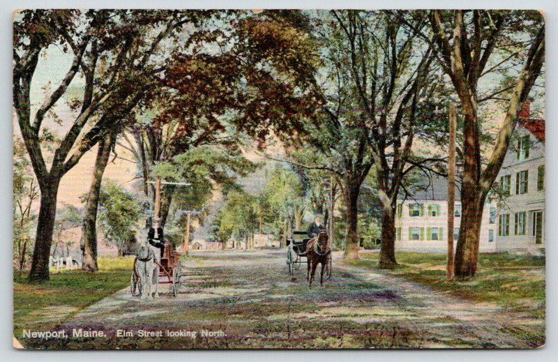 Newport Maine~Elm Street Homes~Horse Buggies on Shady Road~c1910 Postcard 