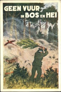 Poster Art Forest Fire Prevention Bos en Hei Netherlands 1958 Used Postcard