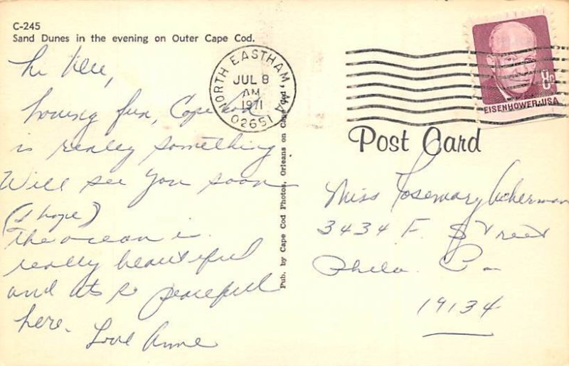 Sand Dunes Cape Cod, Massachusetts MA Postcard