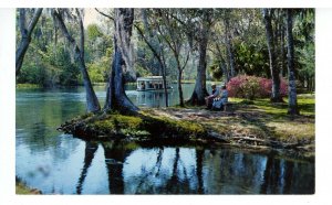 FL - Silver Springs. Glass Bottom Sightseeing Boat on Silver River