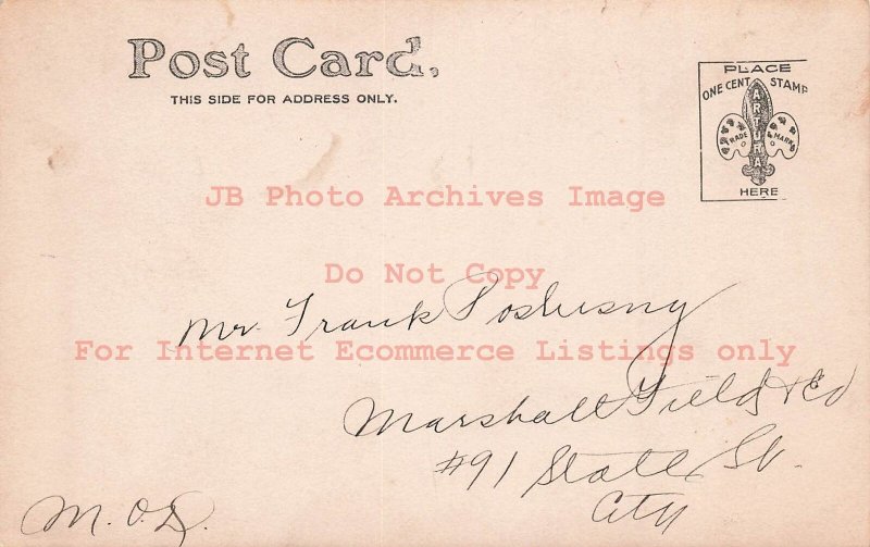 Studio Shot, RPPC, Agnes Wilson Death Remembrance, Chicago IL?