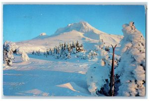 1955 Winter Sunrise Encrusted Fairyland Mt. Hood Oregon Vintage Antique Postcard