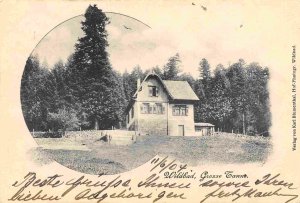 Grosse Tannenbaum Bad Wildbad Germany 1904 postcard