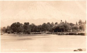 Postcard Real Photo Snow Capped Holloo Mt. Tacoma Lake Washington  Shaw RPPC