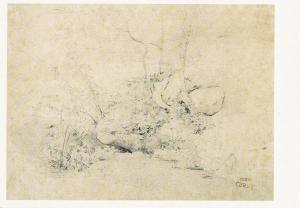 Postcard Art French Drawings Jean Baptiste Camille Corot - Brook