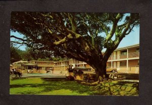 CA Carmel Hill Motor Lodge Motel Monterey California Postcard Hazel Freitas