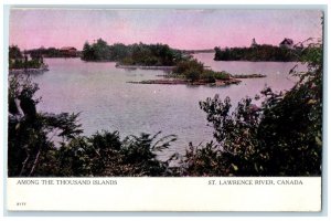 c1910 Among The Thousand Islands St. Lawrence River Canada Antique Postcard