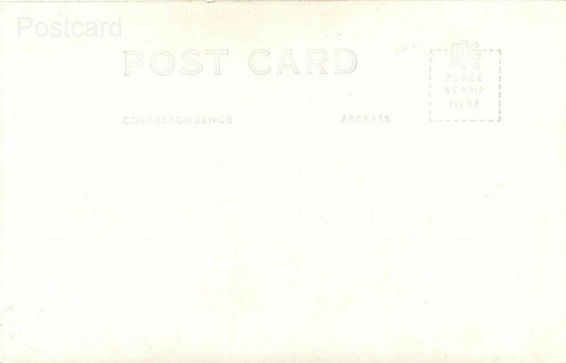AK, Alaska Railroad, Brickley No. L-76, RPPC
