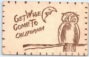 Get Wise Come to California Owl Half Moon Antique Vintage Postcard D65