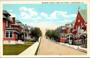 View of Residences on Belmont Ave From Pike St Canonsburg PA Vtg Postcard V44