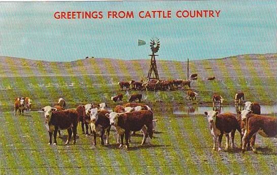 Nebraska Greetings From Cattle Country