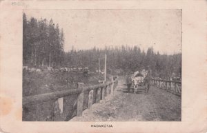 Hadak Utja Farming Transport Budapest Hungary Antique Postcard