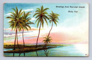 57 GREETINGS FROM THE HAWAIIAN ISLANDS ALOHA NUI HAWAII POSTCARD (c. 1910)