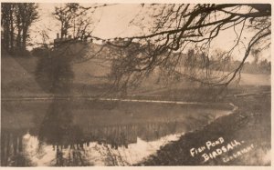 Vintage Postcard Real Photo Fish Pond Surrounded by Trees Birdsall CT RPPC