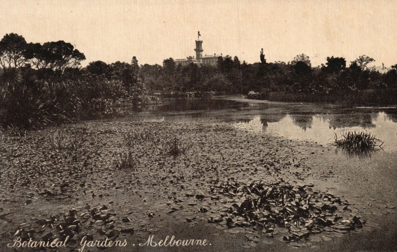 Vintage Postcard 1910's Botanical Gardens Melbourne Australia