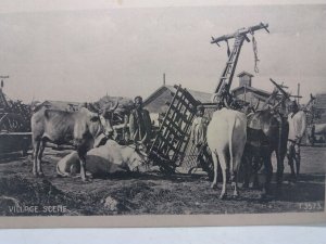 Village Scene Villagers with Cattle Calcutta India Vintage Postcard c1910