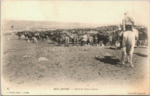 Morocco Bou-Denib Arrivée d'un Convoi Boudenib Vintage Postcard 04.09