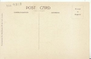 Middlesex Postcard - The Great Vine - Hampton Court Palace - Ref 11536A