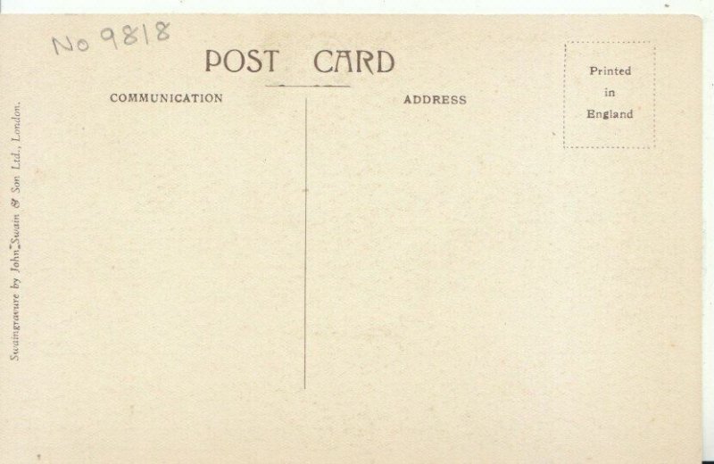 Middlesex Postcard - The Great Vine - Hampton Court Palace - Ref 11536A