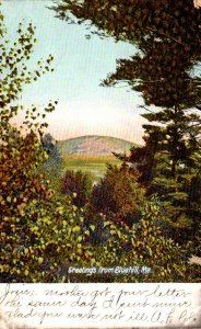 Maine Greetings From Bluehill 1908