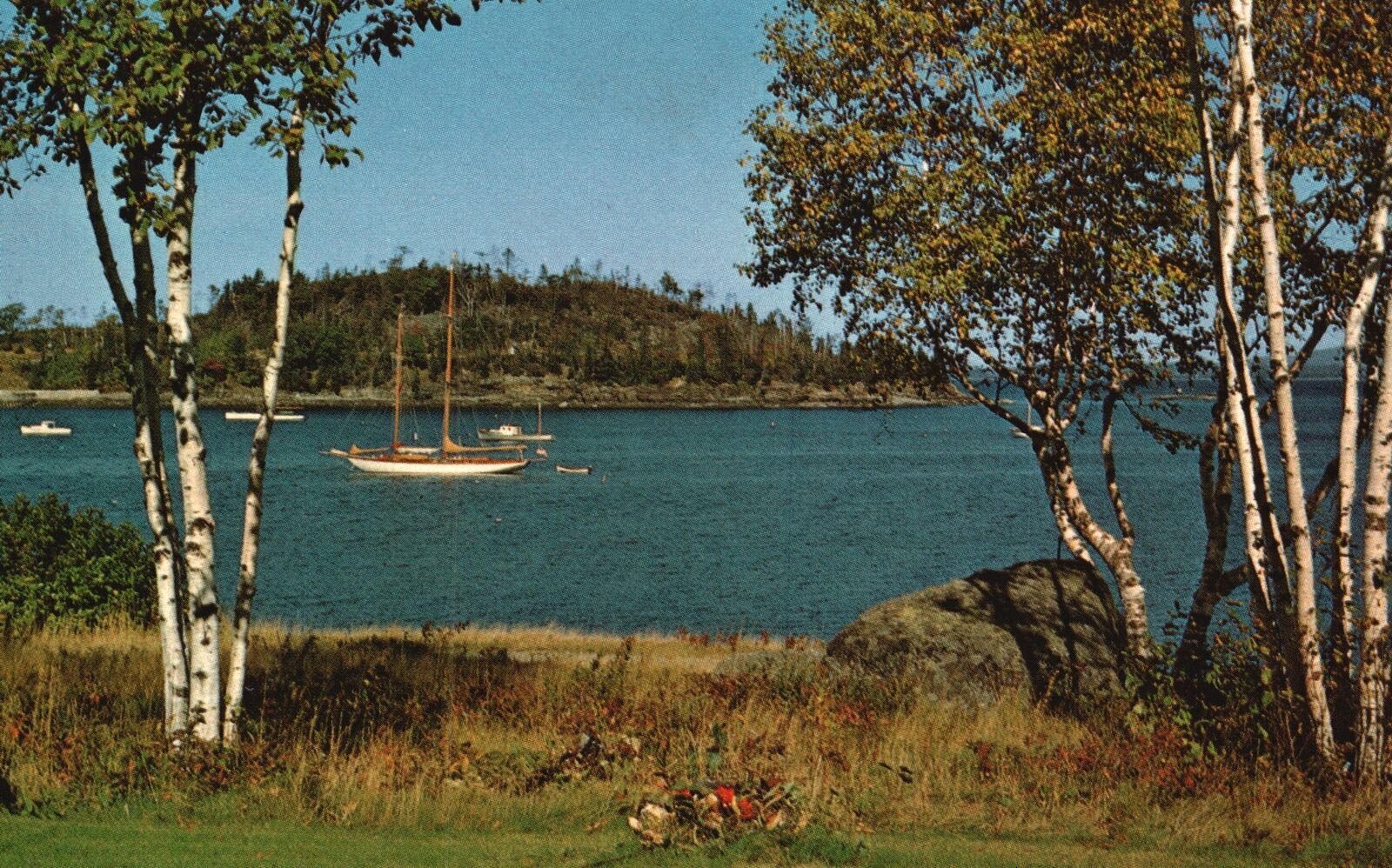 Vintage Postcard Arcadia National Park Beautiful Scene Park Harbor