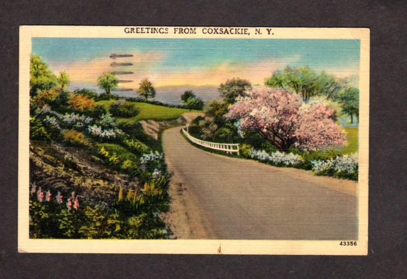 NY Greetings From Coxsackie New York Linen Postcard Roadside PC