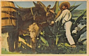 TIPICO TLACHIQUERO MEXICO~LUIS MARQUEZ 1947 PSTMK POSTCARD