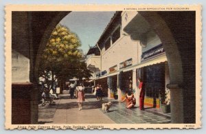 Palm Springs CA~Little Girl w/Skirt~Family w/Dog~Palm Canyon Dr Shops~1941 Linen 